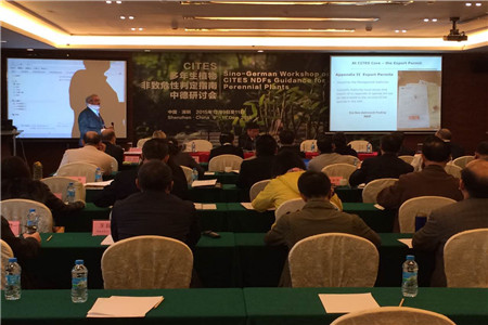 多年生植物非致危性判定指南中德研讨会.jpg